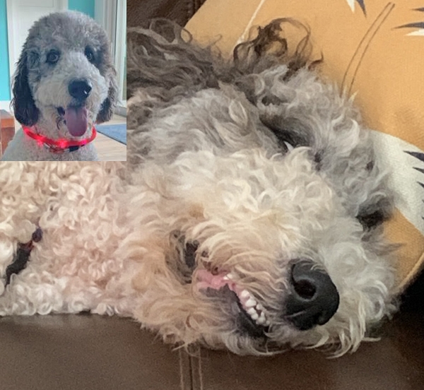 uglysleeper