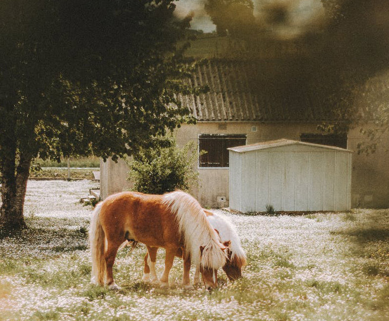 ranch